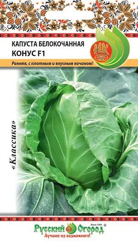 

капуста б/к f1 конус семена, капуста б/к f1 конус семена купить