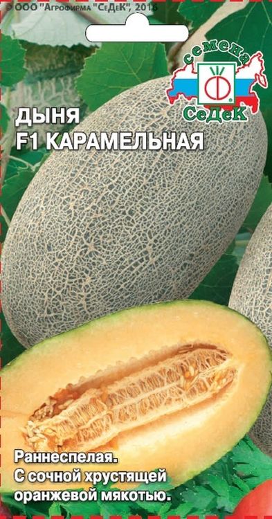 

дыня f1 карамельная семена, дыня f1 карамельная семена купить