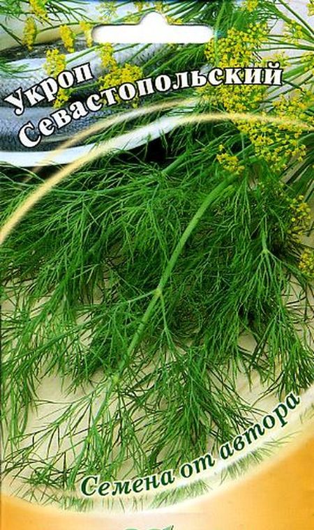 Укроп Севастопольский
