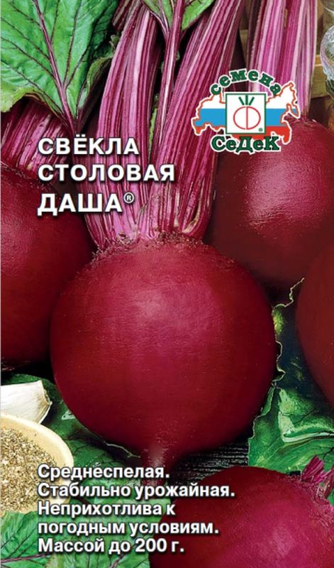 

свекла даша семена, свекла даша семена купить
