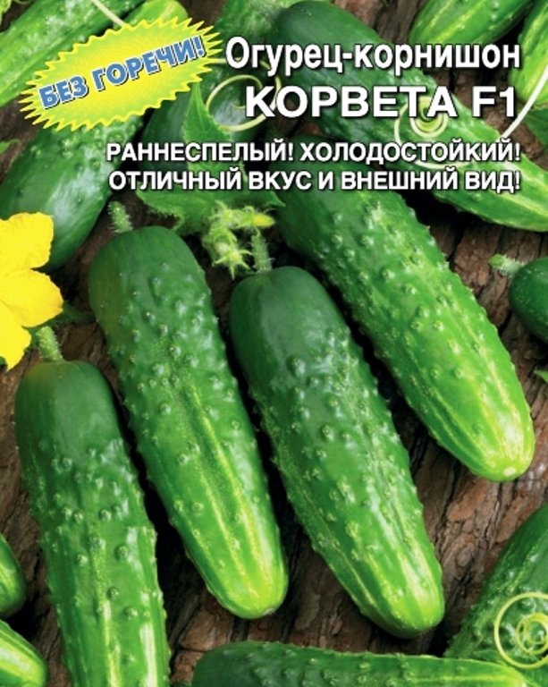 

огурец корвета f1 корнишон семена, огурец корвета f1 корнишон семена купить