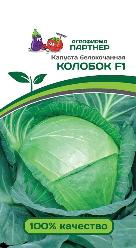 

капуста б/к колобок f1 семена, капуста б/к колобок f1 семена купить