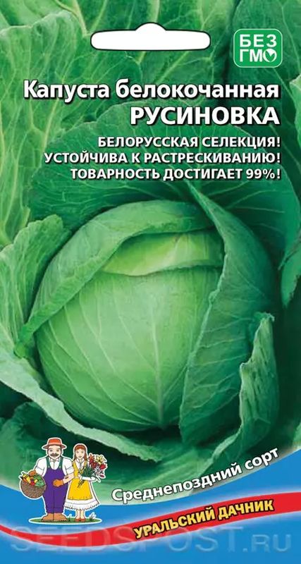 

капуста б/к русиновка семена, капуста б/к русиновка семена купить