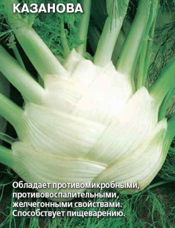 Фенхель Казанова