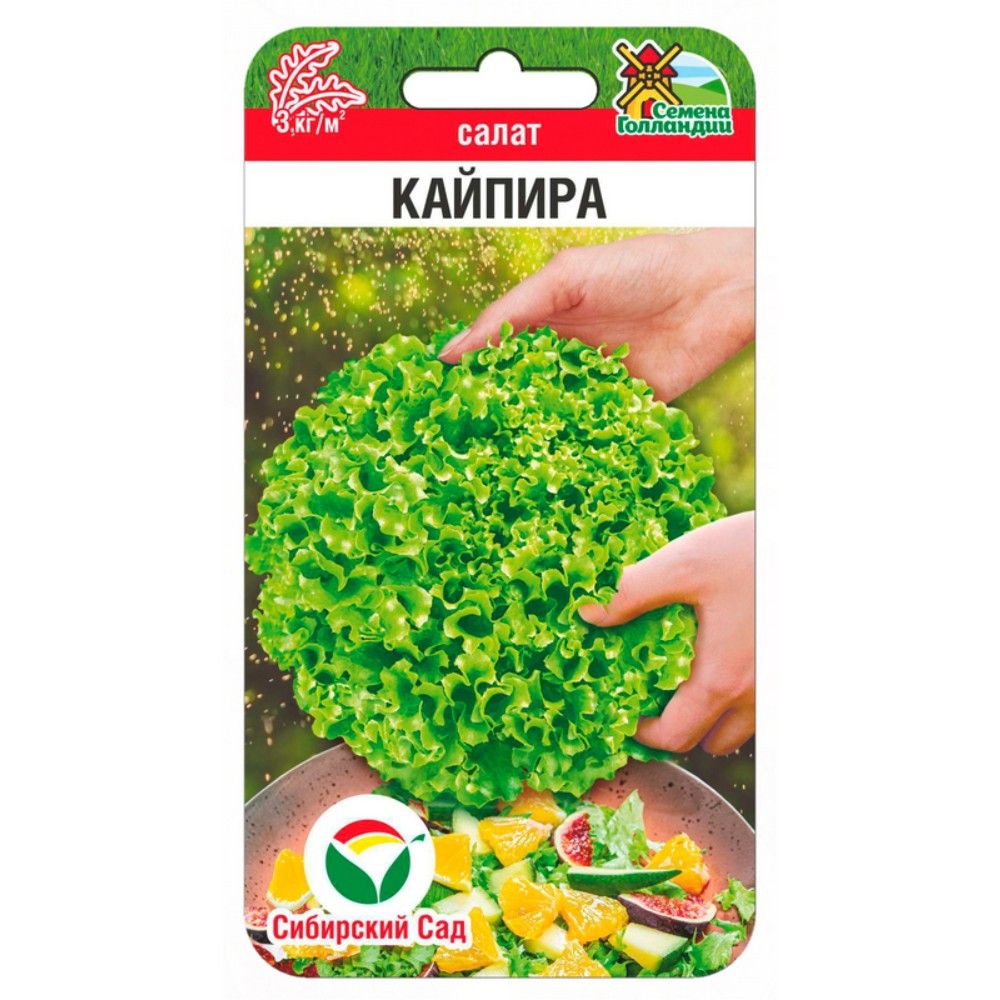 

салат кайпира семена, салат кайпира семена купить