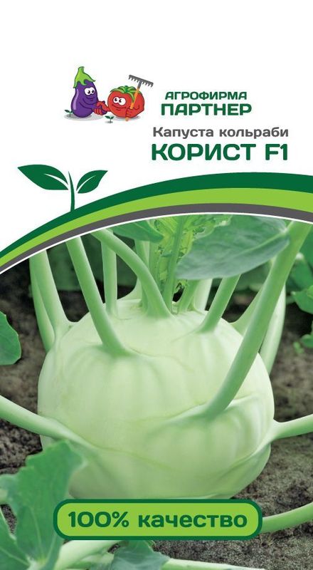 

капуста кольраби корист f1 семена, капуста кольраби корист f1 семена купить
