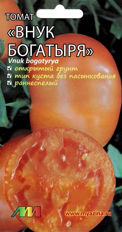 Томат Внук богатыря