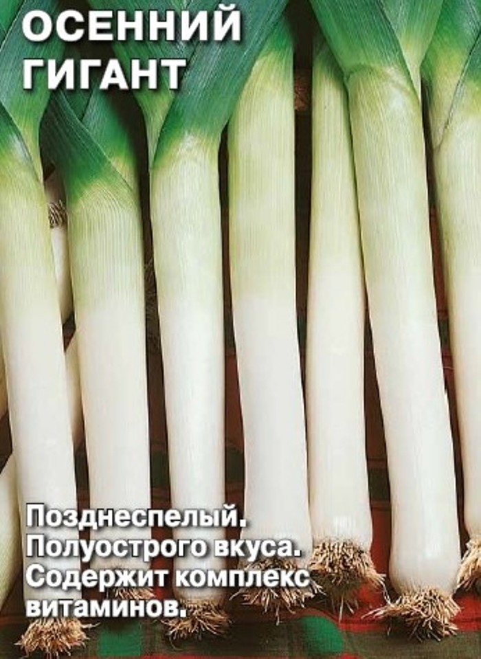 Купить семена лука-порей с доставкой по Москве и в регионы