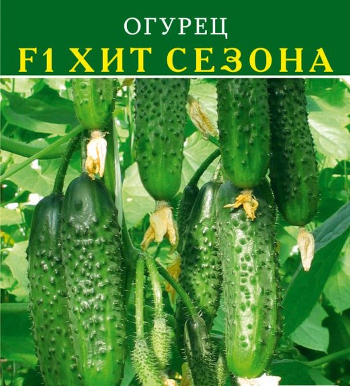 Огурец F1 Хит сезона