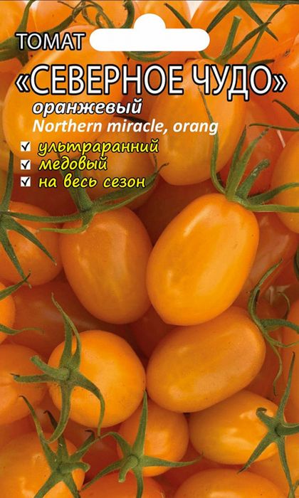 

томат северное чудо оранжевый семена, томат северное чудо оранжевый семена купить