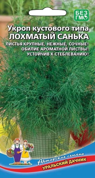 

укроп лохматый санька семена, укроп лохматый санька семена купить