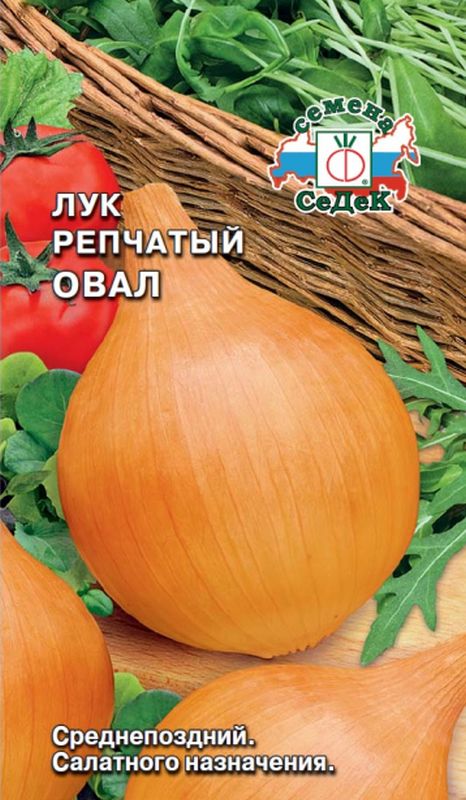 

лук репчатый овал семена, лук репчатый овал семена купить