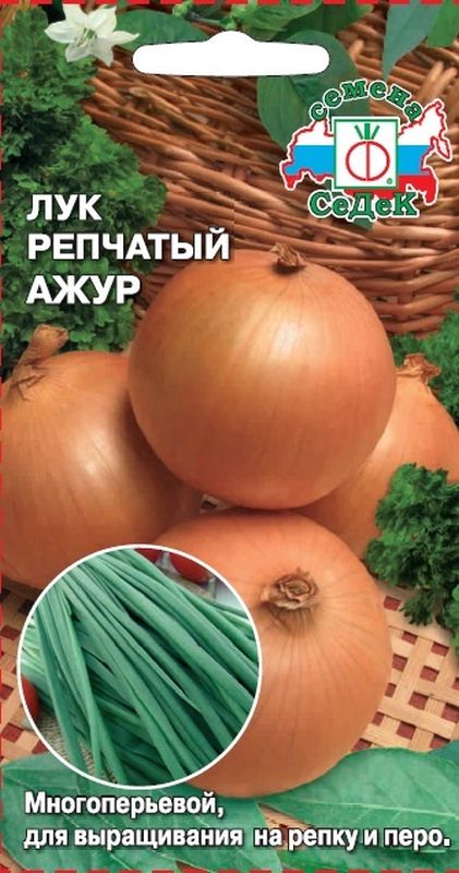 

лук репчатый ажур семена, лук репчатый ажур семена купить