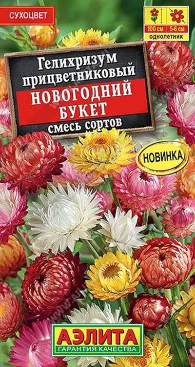 Гелихризум Новогодний букет, смесь сортов