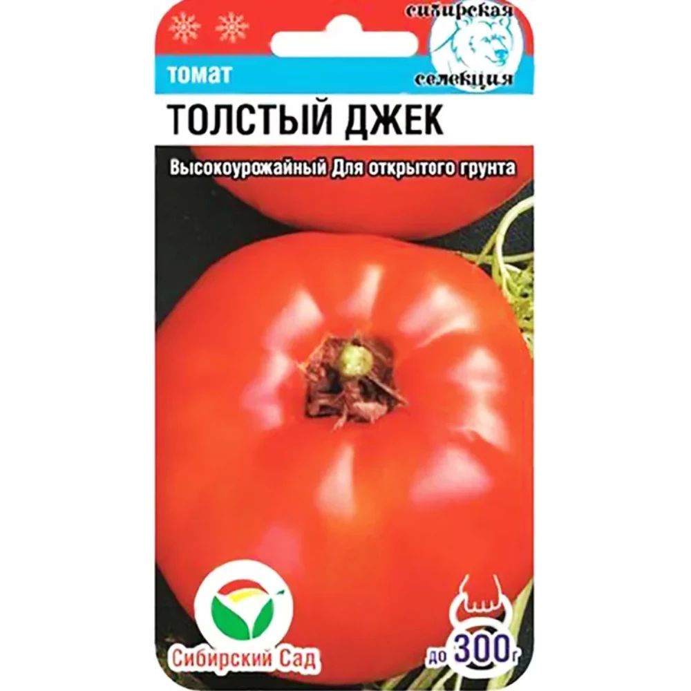 Сорт Томатов Толстой Отзывы Фото Урожайность