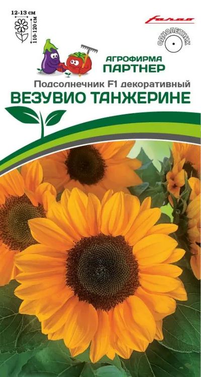 Подсолнечник Везувио Танжерине F1