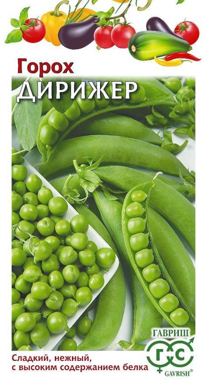 

горох дирижер семена, горох дирижер семена купить