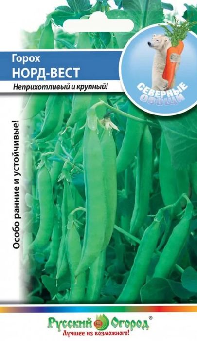 

горох сахарный норд-вест семена, горох сахарный норд-вест семена купить