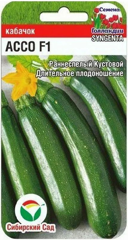

кабачок ассо f1 семена, кабачок ассо f1 семена купить