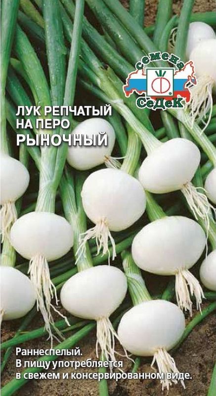 

лук репчатый рыночный (на перо) семена, лук репчатый рыночный (на перо) семена купить