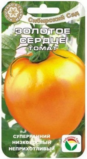 Помидоры золотое сердце фото