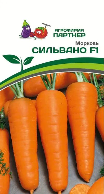 

морковь сильвано f1 семена, морковь сильвано f1 семена купить