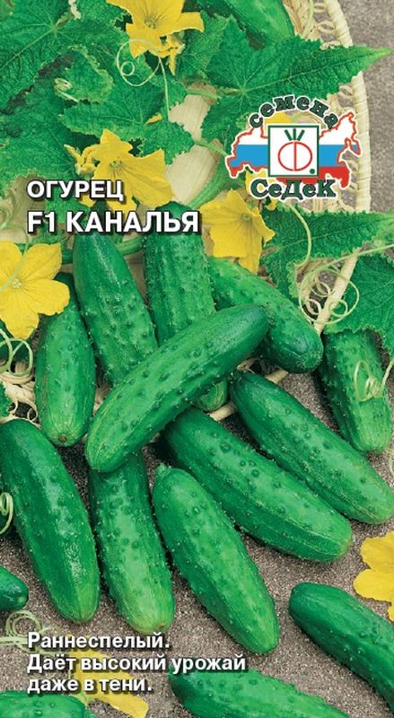 

огурец f1 каналья семена, огурец f1 каналья семена купить