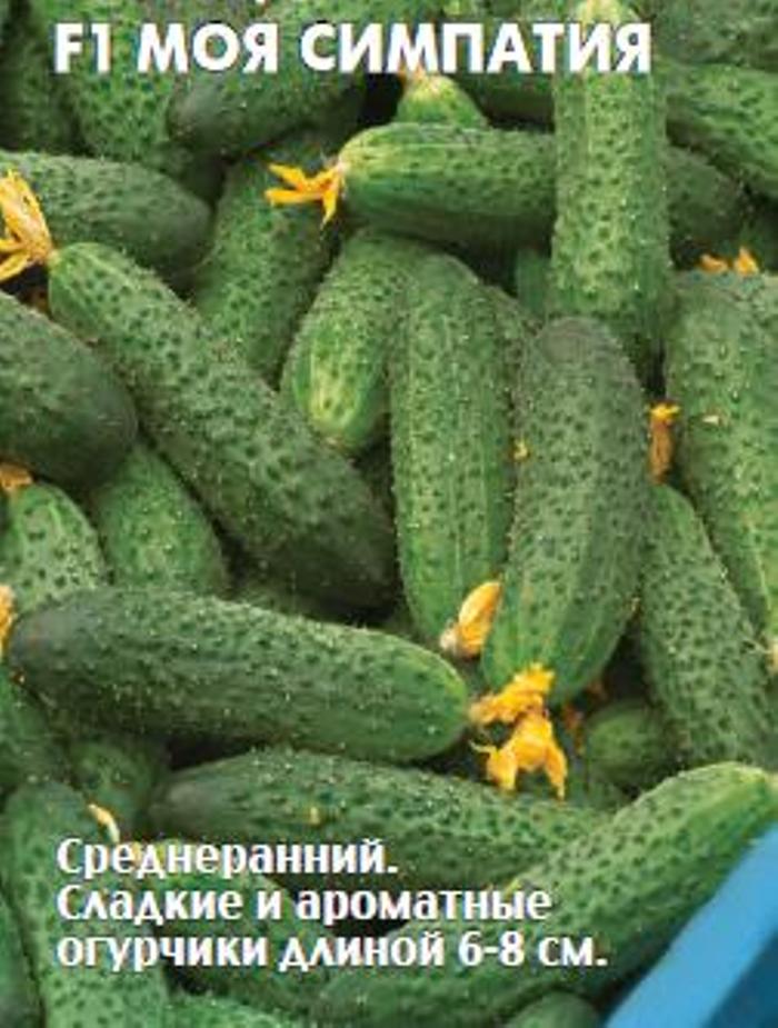 Огурец F1 Моя симпатия