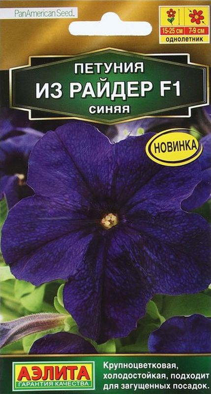 

петуния из райдер f1 синяя семена, петуния из райдер f1 синяя семена купить