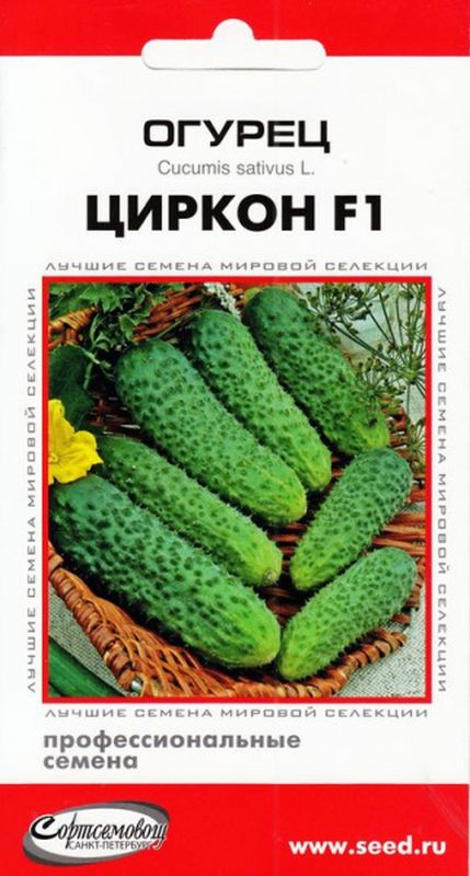 

огурец циркон f1 семена, огурец циркон f1 семена купить