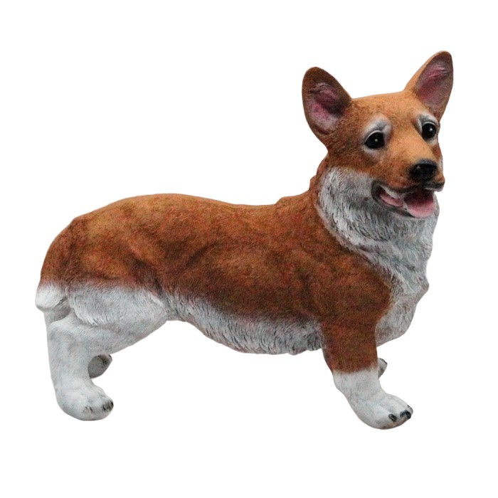 

Собака Корги, 47см