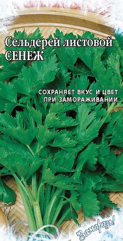 

сельдерей листовой сенеж* серия заморозь! семена, сельдерей листовой сенеж* серия заморозь! семена купить