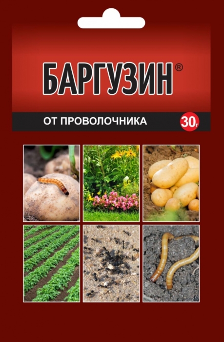Баргузин, 30г
