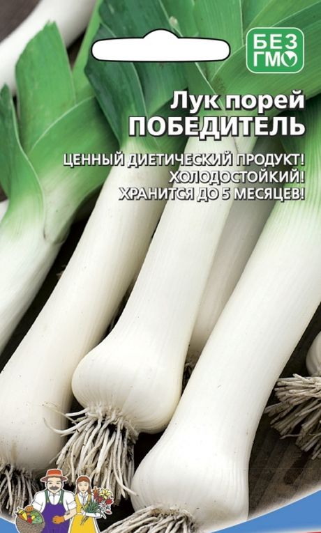 

лук порей победитель семена, лук порей победитель семена купить