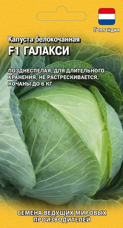 

капуста б/к галакси f1 семена, капуста б/к галакси f1 семена купить