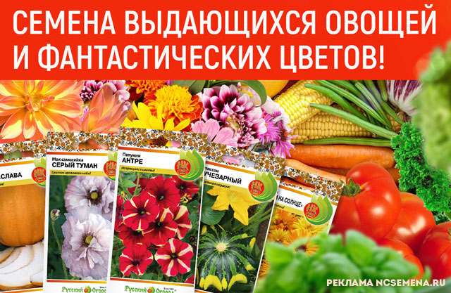 Купить семена почтой в интернет магазине. Каталог семян.