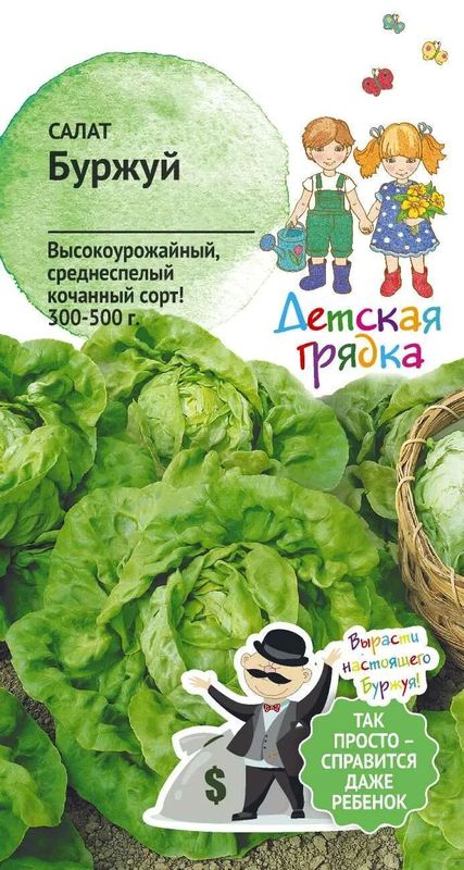 

салат буржуй семена, салат буржуй семена купить