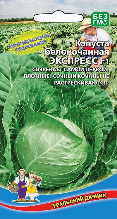 

капуста б/к экспресс f1 семена, капуста б/к экспресс f1 семена купить