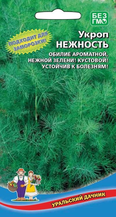 

укроп нежность семена, укроп нежность семена купить