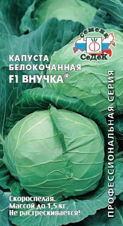 

капуста б/к f1 внучка® семена, капуста б/к f1 внучка® семена купить