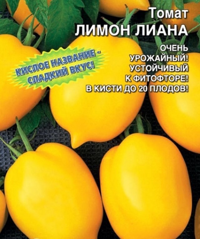 Томат Лимонный Отзывы Фото