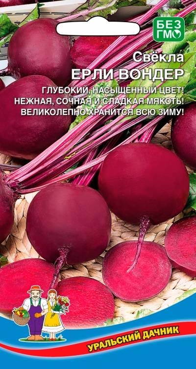 

свекла ерли вондер семена, свекла ерли вондер семена купить
