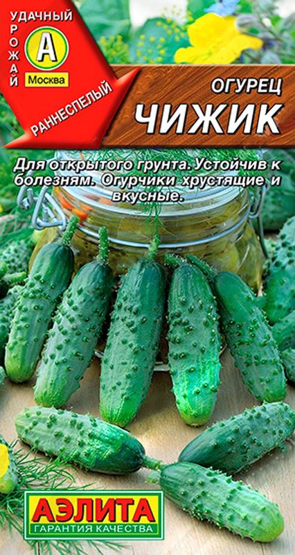 

огурец чижик семена, огурец чижик семена купить