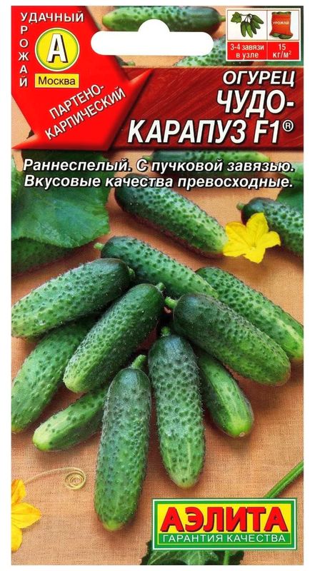 

огурец чудо-карапуз f1® семена, огурец чудо-карапуз f1® семена купить