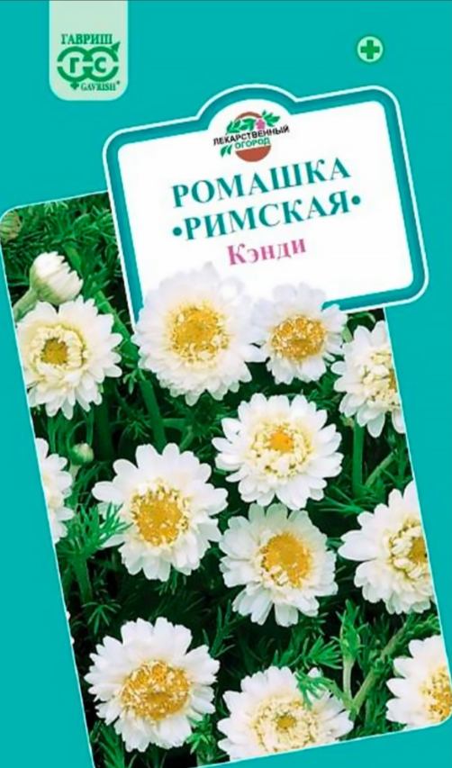 

ромашка римская кэнди* семена, ромашка римская кэнди* семена купить