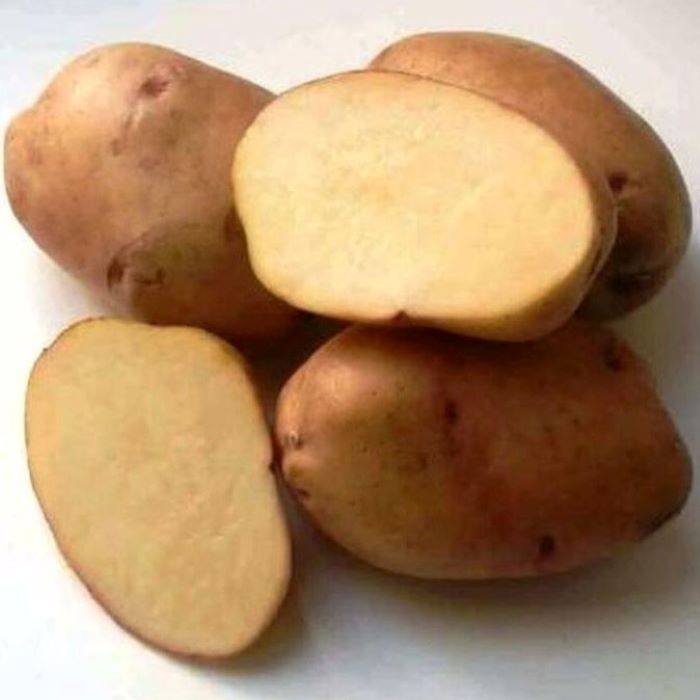 Картофель Крепыш