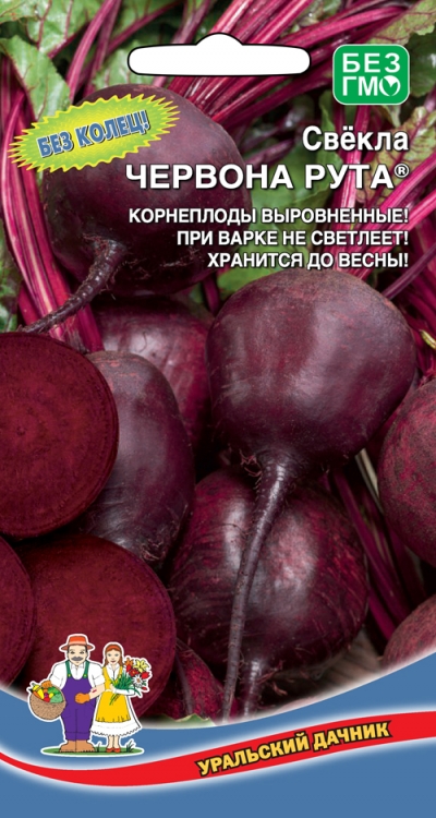 

свекла червона рута® семена, свекла червона рута® семена купить