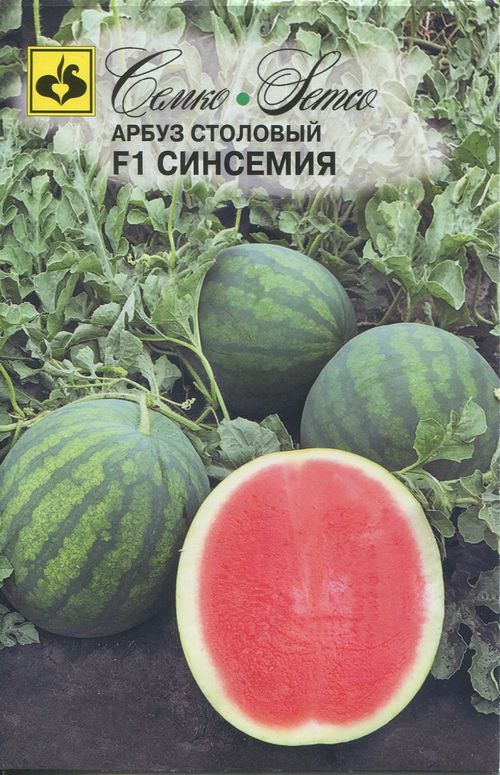 

арбуз синсемия f1 семена, арбуз синсемия f1 семена купить