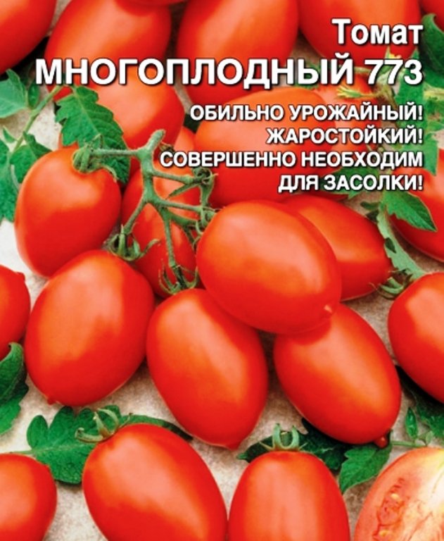 

томат многоплодный 773 семена, томат многоплодный 773 семена купить
