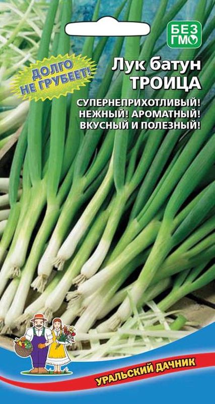 

лук батун троица семена, лук батун троица семена купить